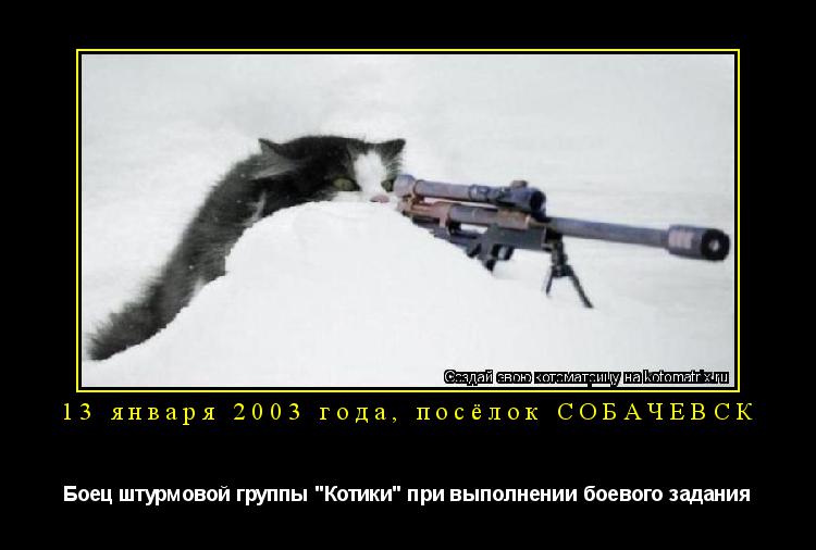 13 января 2003 года, посёлок СОБАЧЕВСК Боец штурмовой группы "Котики" при выполнении боевого задания... Котоматрица: 13 января 2003 года, посёлок СОБАЧЕВСК Боец штурмовой группы "Котики" при выполнении боевого задания