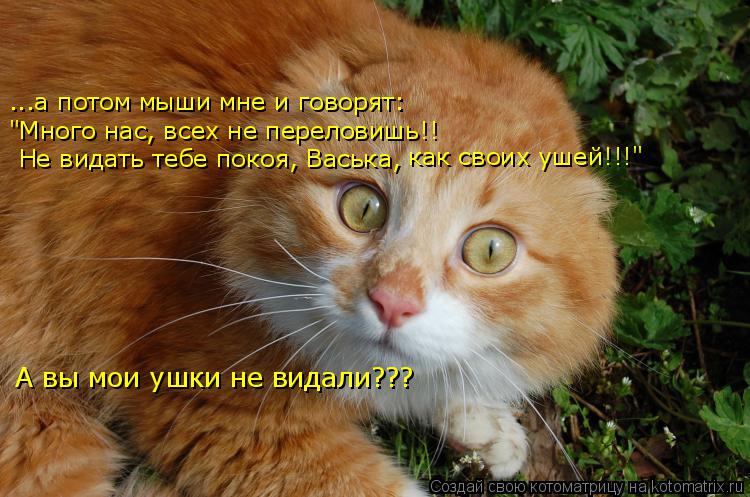 Котоматрица: ...а потом мыши мне и говорят: "Много нас, всех не переловишь!! Не видать тебе покоя, Васька, как своих ушей!!!" А вы мои ушки не видали???
