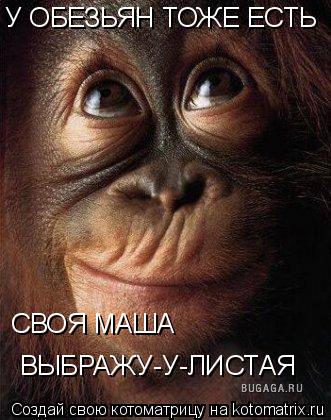 У ОБЕЗЬЯН ТОЖЕ ЕСТЬ СВОЯ МАША ВЫБРАЖУ-У-ЛИСТАЯ... Котоматрица: У ОБЕЗЬЯН ТОЖЕ ЕСТЬ СВОЯ МАША ВЫБРАЖУ-У-ЛИСТАЯ