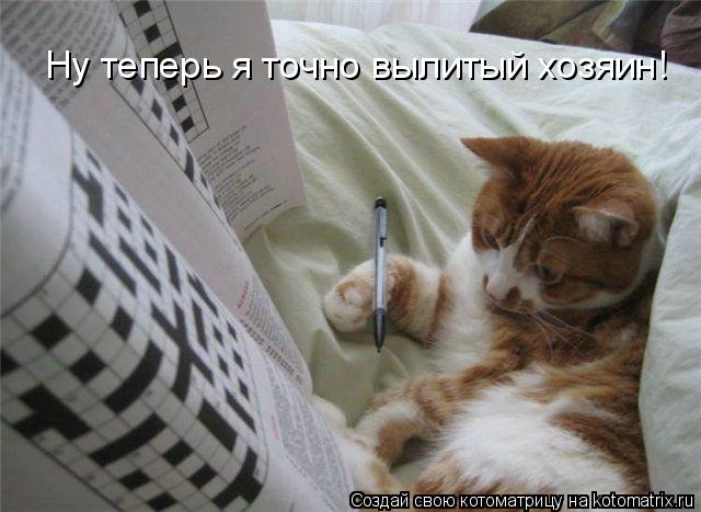 Ну теперь я точно вылитый хозяин!... Котоматрица: Ну теперь я точно вылитый хозяин!