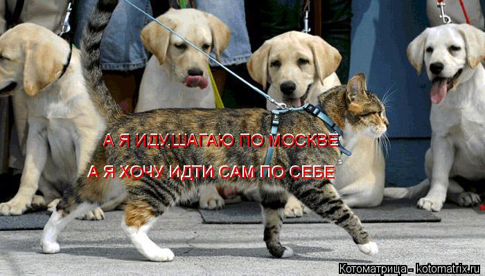 А Я ИДУ,ШАГАЮ ПО МОСКВЕ А Я ИДУ,ШАГАЮ ПО МОСКВЕ А Я ХОЧУ ИДТИ САМ ПО СЕБЕ А Я ХОЧУ ИДТИ САМ ПО СЕБЕ... Котоматрица: А Я ИДУ,ШАГАЮ ПО МОСКВЕ А Я ИДУ,ШАГАЮ ПО МОСКВЕ А Я ХОЧУ ИДТИ САМ ПО СЕБЕ А Я ХОЧУ ИДТИ САМ ПО СЕБЕ