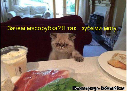 Котоматрица: Зачем мясорубка?Я так...зубами могу...