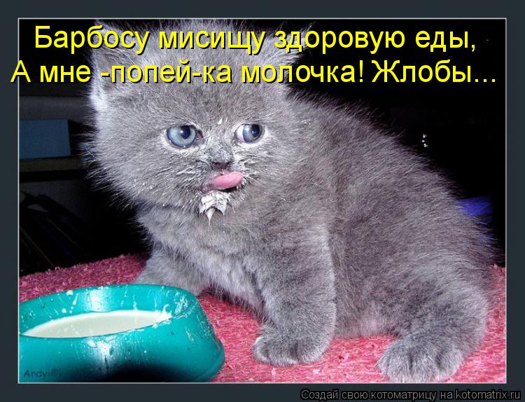 Котоматрица: Барбосу мисищу здоровую еды, А мне -попей-ка молочка! Жлобы...