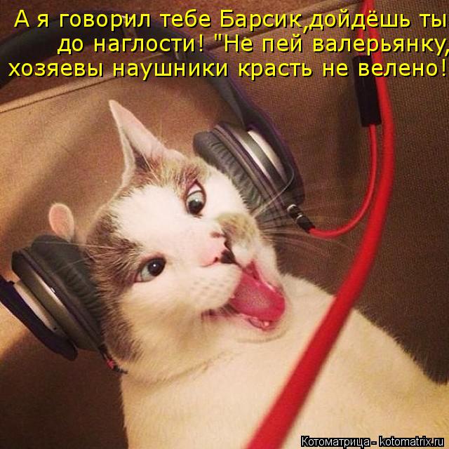 А я говорил тебе Барсик дойдёшь ты до наглости! "Не до наглости! "Не пей валерьянку хозяевы наушники ... Котоматрица: А я говорил тебе Барсик дойдёшь ты до наглости! "Не до наглости! "Не пей валерьянку хозяевы наушники красть не велено! хозяевы наушники краст