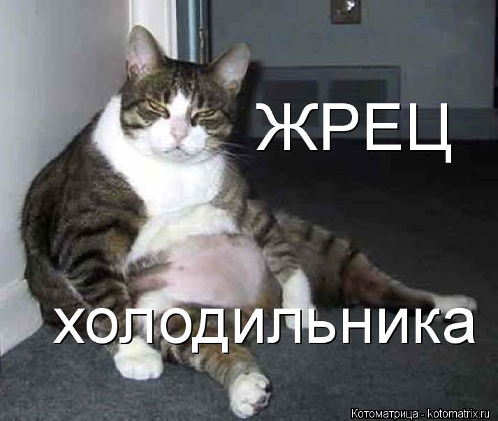 ЖРЕЦ холодильника... Котоматрица: ЖРЕЦ холодильника