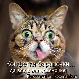 Конфетки-бараночки... да все в валерьяночке!... Котоматрица: Конфетки-бараночки... да все в валерьяночке!
