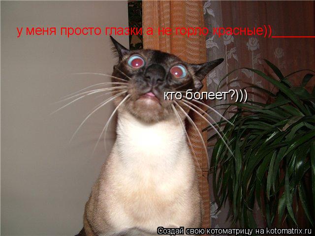 кто болеет?))) у меня просто глазки а не горло красные))___________... Котоматрица: кто болеет?))) у меня просто глазки а не горло красные))___________
