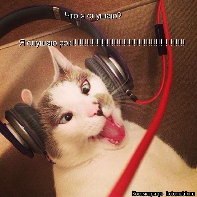 Котоматрица: Что я слушаю? Я слушаю рок!!!!!!!!!!!!!!!!!!!!!!!!!!!!!!!!!!!!!!!!!!!!!!