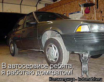 В автосервисе ребята, я работаю домкратом!... Котоматрица: В автосервисе ребята, я работаю домкратом!