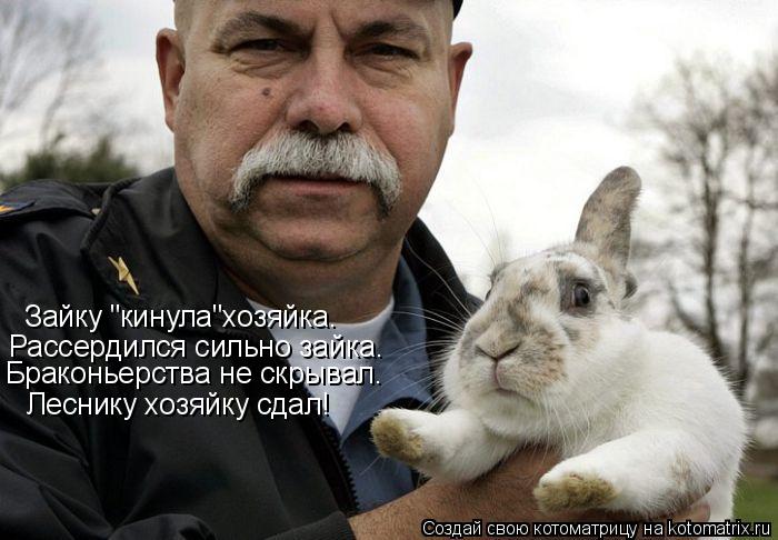 Зайку "кинула"хозяйка. Рассердился сильно зайка. Браконьерства не скрывал. Леснику хозяйку сдал!... Котоматрица: Зайку "кинула"хозяйка. Рассердился сильно зайка. Браконьерства не скрывал. Леснику хозяйку сдал!