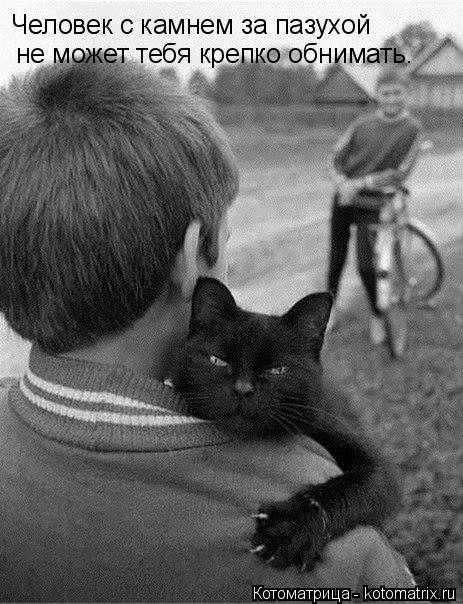 Человек с камнем за пазухой не может тебя крепко обнимать.... Котоматрица: Человек с камнем за пазухой не может тебя крепко обнимать.