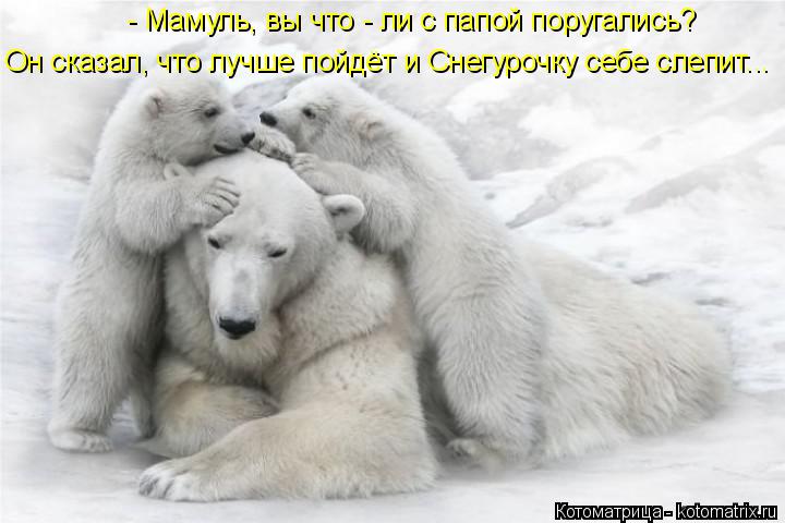 Котоматрица: - Мамуль, вы что - ли с папой поругались? Он сказал, что лучше пойдёт и Снегурочку себе слепит...