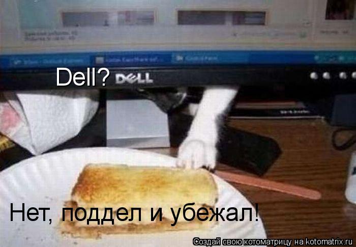 Dell? Нет, поддел и убежал!... Котоматрица: Dell? Нет, поддел и убежал!