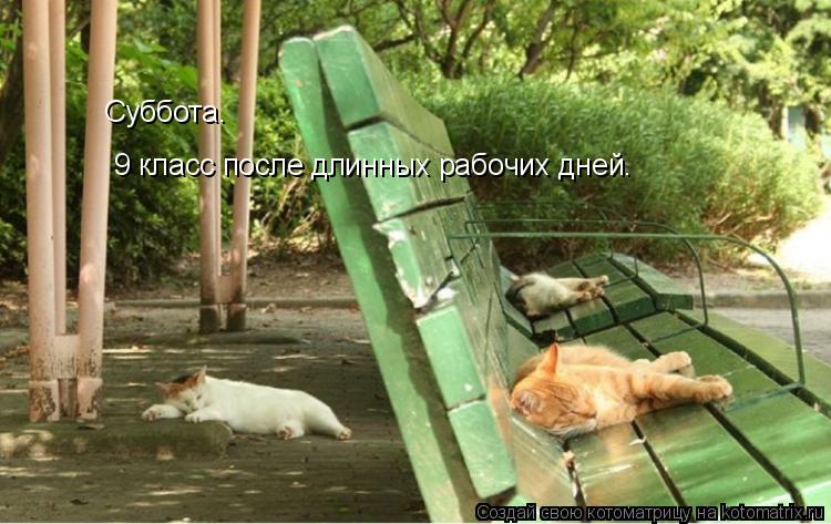 Котоматрица: Суббота. 9 класс после длинных рабочих дней.