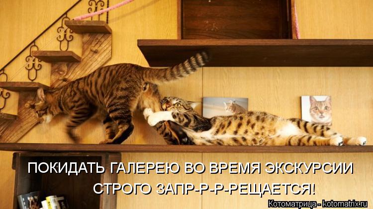ПОКИДАТЬ ГАЛЕРЕЮ ВО ВРЕМЯ ЭКСКУРСИИ СТРОГО ЗАПР-Р-Р-РЕЩАЕТСЯ!... Котоматрица: ПОКИДАТЬ ГАЛЕРЕЮ ВО ВРЕМЯ ЭКСКУРСИИ СТРОГО ЗАПР-Р-Р-РЕЩАЕТСЯ!