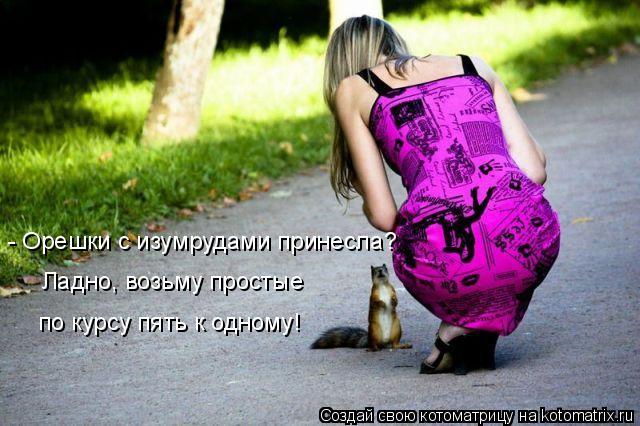Котоматрица: - Орешки с изумрудами принесла? Ладно, возьму простые  по курсу пять к одному!