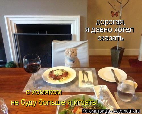 дорогая, я давно хотел сказать не буду больше я играть! с хомяком... Котоматрица: дорогая, я давно хотел сказать не буду больше я играть! с хомяком