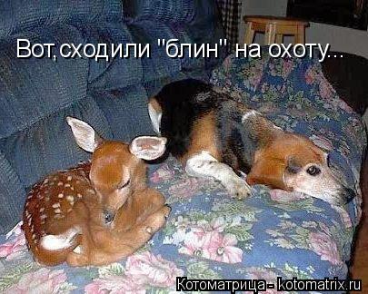Вот,сходили "блин" на охоту...... Котоматрица: Вот,сходили "блин" на охоту...