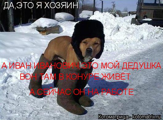 ДА,ЭТО Я ХОЗЯИН А ИВАН ИВАНОВИЧ,ЭТО МОЙ ДЕДУШКА ВОН ТАМ В КОНУРЕ ЖИВЁТ А СЕЙЧАС ОН НА РАБОТЕ... Котоматрица: ДА,ЭТО Я ХОЗЯИН А ИВАН ИВАНОВИЧ,ЭТО МОЙ ДЕДУШКА ВОН ТАМ В КОНУРЕ ЖИВЁТ А СЕЙЧАС ОН НА РАБОТЕ