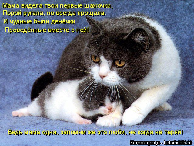 Мама видела твои первые шажочки, Порой ругала, но всегда прощала. И чудные были денёчки Проведённые в... Котоматрица: Мама видела твои первые шажочки, Порой ругала, но всегда прощала. И чудные были денёчки Проведённые вместе с ней! Ведь мама одна, запомни же