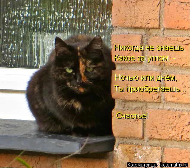Никогда не знаешь, Какое за углом, - Ночью или днём, Ты приобретаешь... Счастье!... Котоматрица: Никогда не знаешь, Какое за углом, - Ночью или днём, Ты приобретаешь... Счастье!