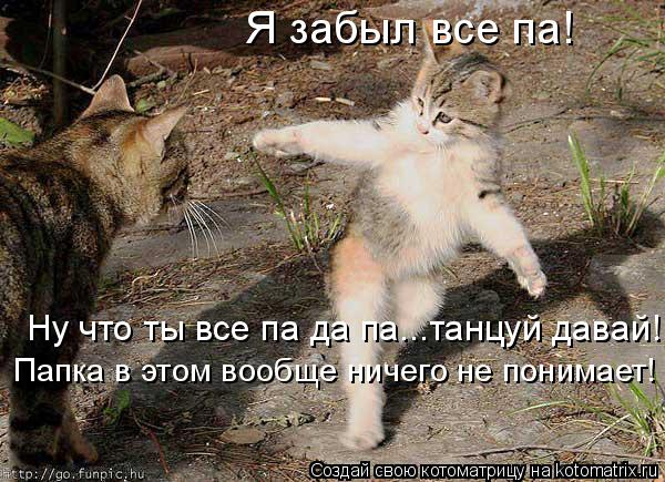 Я забыл все па! Ну что ты все па да па...танцуй давай! Папка в этом вообще ничего не понимает!... Котоматрица: Я забыл все па! Ну что ты все па да па...танцуй давай! Папка в этом вообще ничего не понимает!
