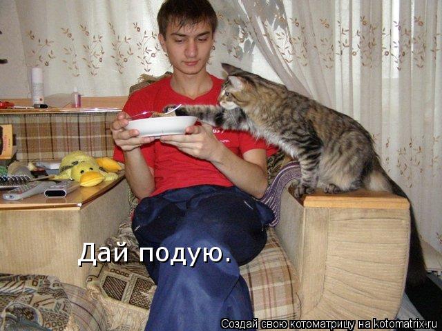 Котоматрица: Дай подую.
