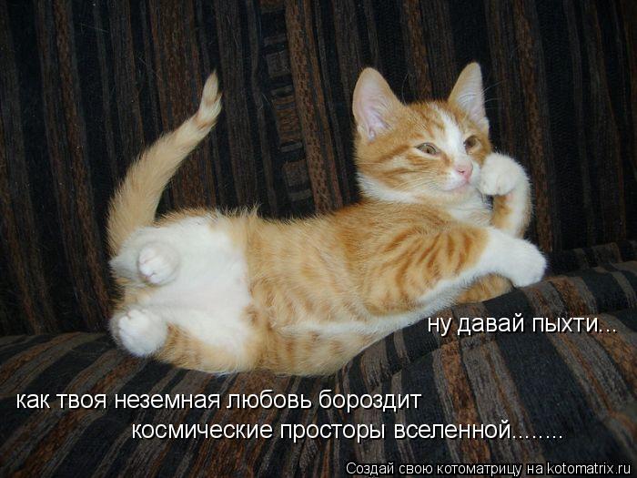 ну давай пыхти... как твоя неземная любовь бороздит космические просторы вселенной........... Котоматрица: ну давай пыхти... как твоя неземная любовь бороздит космические просторы вселенной........