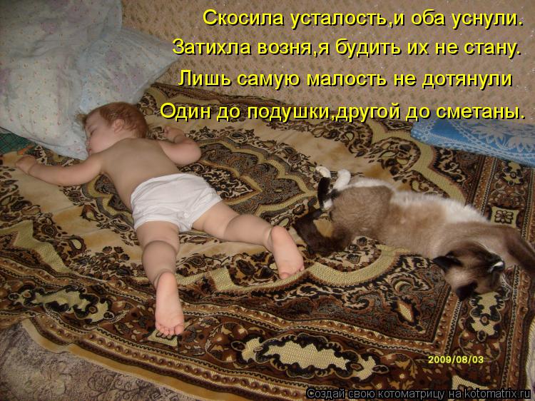 Котоматрица: Скосила усталость,и оба уснули. Затихла возня,я будить их не стану. Лишь самую малость не дотянули Один до подушки,другой до сметаны.