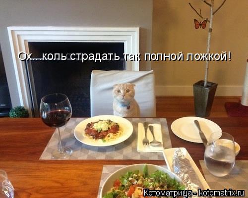 Котоматрица: Ох...коль страдать так полной ложкой!