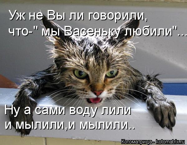 Уж не Вы ли говорили, Ну а сами воду лили и мылили,и мылили.. что-" мы Васеньку любили"...... Котоматрица: Уж не Вы ли говорили, Ну а сами воду лили и мылили,и мылили.. что-" мы Васеньку любили"...