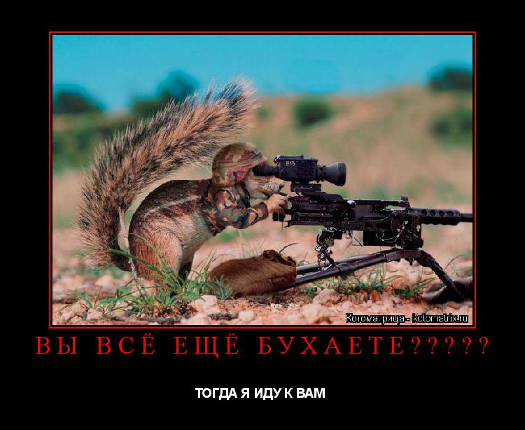 ВЫ ВСЁ ЕЩЁ БУХАЕТЕ????? ТОГДА Я ИДУ К ВАМ ... Котоматрица: ВЫ ВСЁ ЕЩЁ БУХАЕТЕ????? ТОГДА Я ИДУ К ВАМ