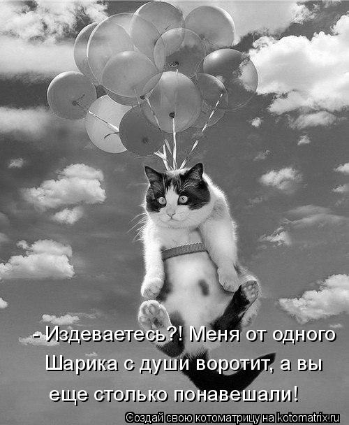 Котоматрица: - Издеваетесь?! Меня от одного Шарика с души воротит, а вы  еще столько понавешали!