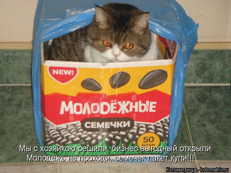 Котоматрица: Мы с хозяйкою решили, бизнес выгодный открыли. Молодежь не проходи, семечек пакет купи!!!