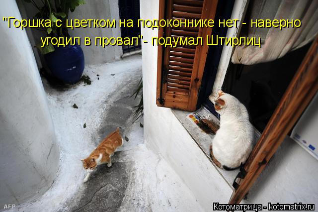 Котоматрица: "Горшка с цветком на подоконнике нет - наверно угодил в провал"- подумал Штирлиц