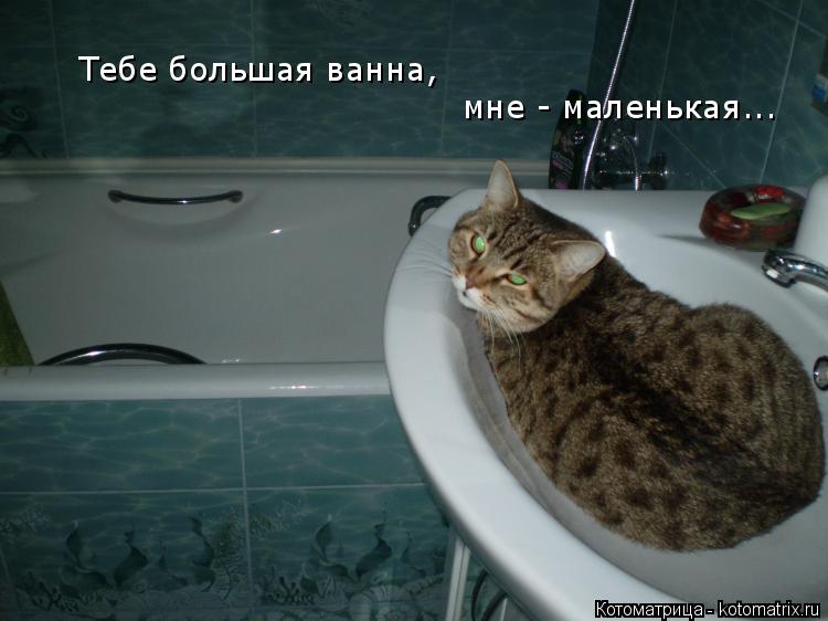 Котоматрица: Тебе большая ванна,  мне - маленькая...