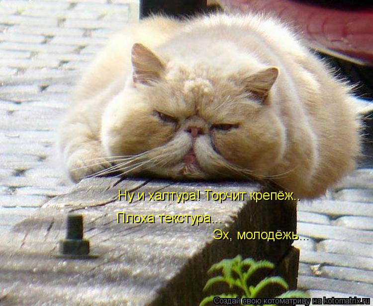 Ну и халтура! Торчит крепёж.. Плоха текстура... Эх, молодёжь...... Котоматрица: Ну и халтура! Торчит крепёж.. Плоха текстура... Эх, молодёжь...