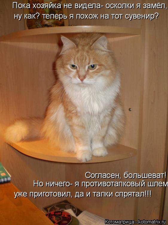 Пока хозяйка не видела- осколки я замёл, ну как? теперь я похож на тот сувенир? ну как? теперь я похо... Котоматрица: Пока хозяйка не видела- осколки я замёл, ну как? теперь я похож на тот сувенир? ну как? теперь я похож на тот сувенир? Согласен, большеват! Но н