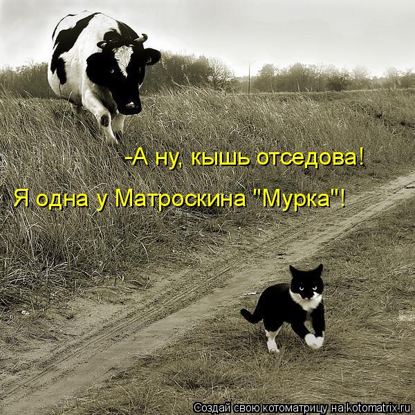 Котоматрица: -А ну, кышь отседова! Я одна у Матроскина "Мурка"!