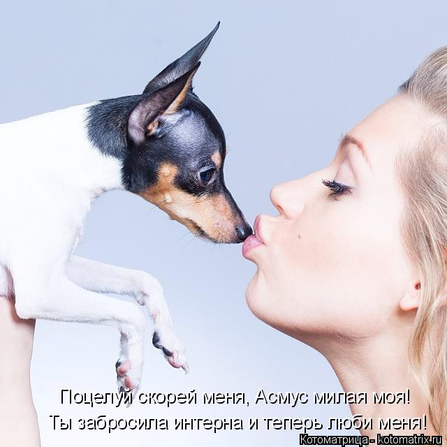 Котоматрица: Ты забросила интерна и теперь люби меня! Поцелуй скорей меня, Асмус милая моя!