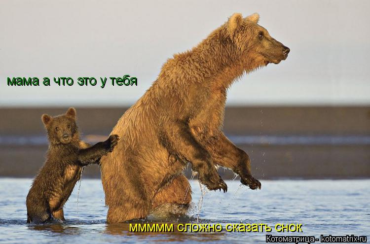 мама а что это у тебя ммммм сложно сказать снок... Котоматрица: мама а что это у тебя ммммм сложно сказать снок