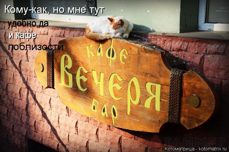 Котоматрица: Кому-как, но мне тут  удобно,да и кафе поблизости