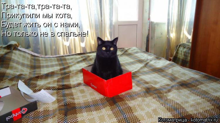 Котоматрица: Тра-та-та,тра-та-та, Прикупили мы кота, Будет жить он с нами, Но только не в спальне!