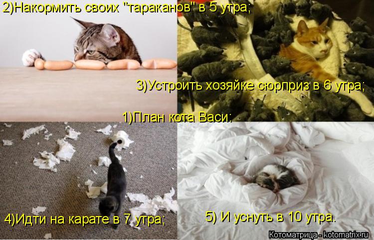 Котоматрица: 1)План кота Васи: 2)Накормить своих "тараканов" в 5 утра; 3)Устроить хозяйке сюрприз в 6 утра; 4)Идти на карате в 7 утра; 5) И уснуть в 10 утра.