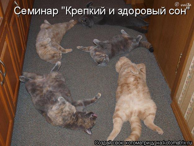 Котоматрица: Семинар "Крепкий и здоровый сон"