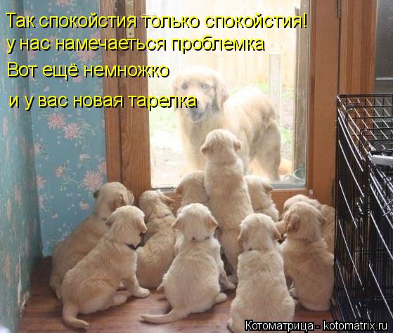Так спокойстия только спокойстия! у нас намечаеться проблемка Вот ещё немножко и у вас новая тарелка... Котоматрица: Так спокойстия только спокойстия! у нас намечаеться проблемка Вот ещё немножко и у вас новая тарелка