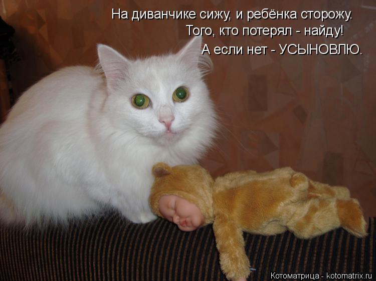 На диванчике сижу, и ребёнка сторожу. Того, кто потерял - найду! А если нет - УСЫНОВЛЮ.... Котоматрица: На диванчике сижу, и ребёнка сторожу. Того, кто потерял - найду! А если нет - УСЫНОВЛЮ.