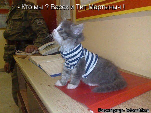 Котоматрица: - Кто мы ? Васёк и Тит Мартыныч !