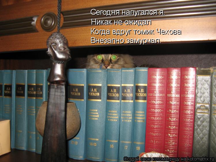 Котоматрица: Сегодня напугался я. Никак не ожидал  Когда вдруг томик Чехова Внезапно замурчал.