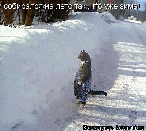 Котоматрица: собирался на лето так ,что уже зима!